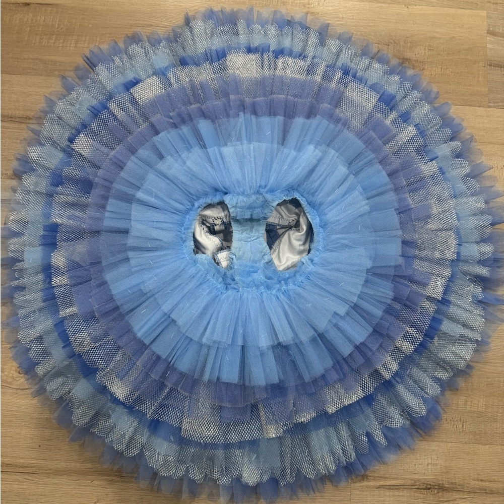 YAGP Professional Ballet tutu - Raymonda, blue bird, grande pas - Picture 4 of 4